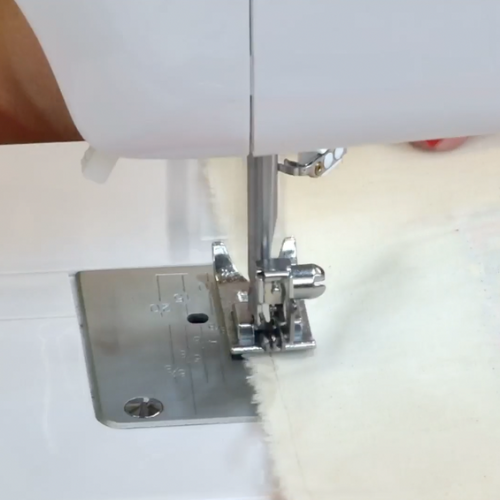 ecobag ()