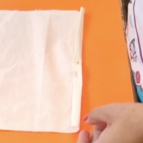 ecobag ()